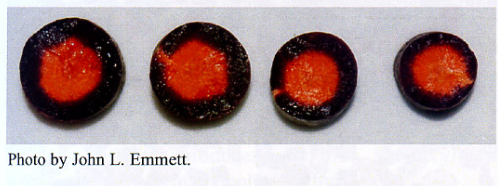 Of Beryllium and Beefsteak 15 Of Beryllium and Beefsteak 15