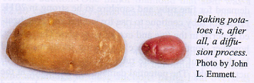 Of Beryllium and Beefsteak 4 Of Beryllium and Beefsteak 4
