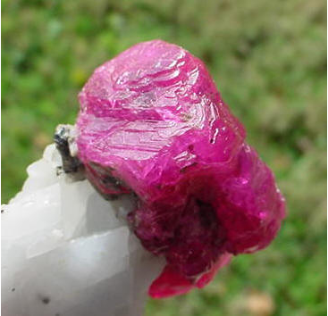 The Nature of Rubies 10 The Nature of Rubies 10