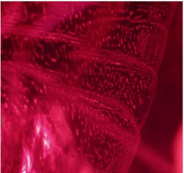 The Nature of Rubies 8 The Nature of Rubies 8