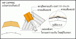 ครอบสันตะเข้หลังคาปั้นหยา