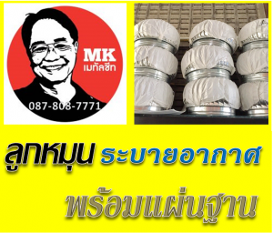 ลูกหมุนระบาย Roof Rotating Ventilator
