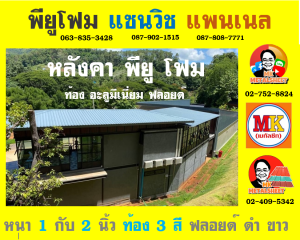 หลังคาพียู (PU Foam Roof)