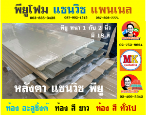 หลังคาพียู (PU Foam Roof)