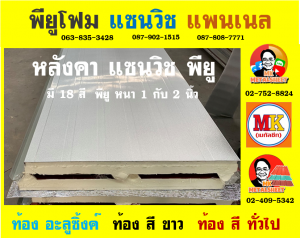 หลังคาพียู (PU Foam Roof)